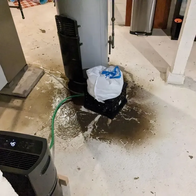 Sewage Backup Cleanup Service in Dougherty County, GA